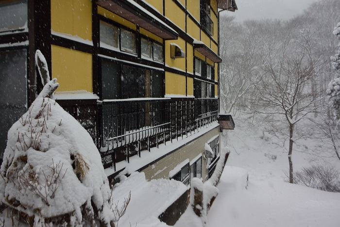 １月・降雪は少なめでしたが、厳しい寒さの１月でした。