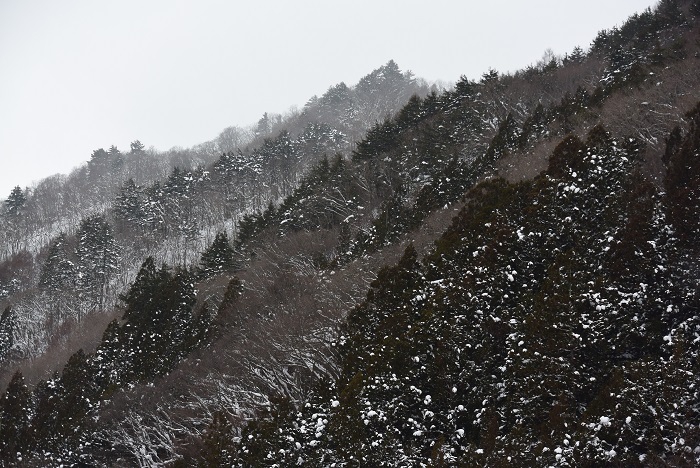 屋根の雪下ろし作業中に西の山々を望んで（２０２５年１月１４日）。