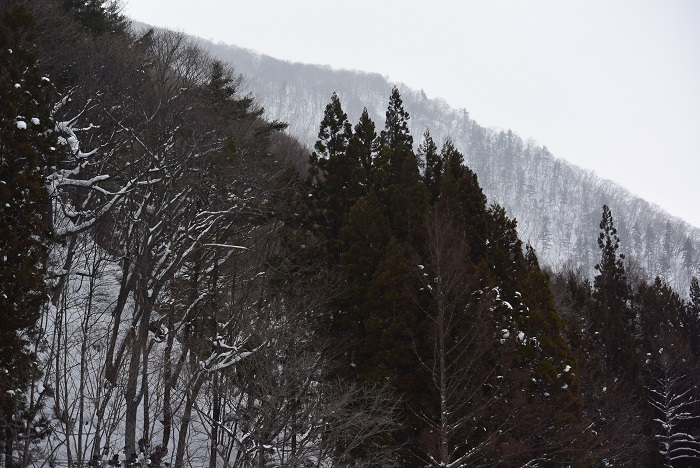 屋根の雪下ろしの休憩中に会津駒ケ岳の方角を望んで（２０２５年１月１４日）。