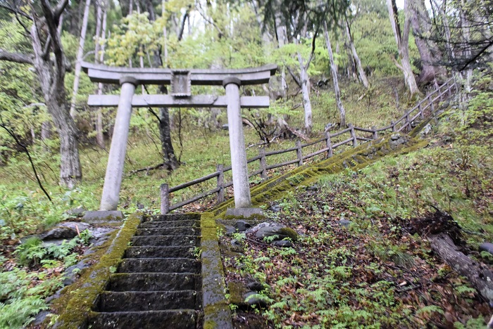 春の祭礼。檜枝岐村・愛宕神社、参道を見つめて。神社からは村の新緑の光景が望めました（２０２５年５月１２日）。