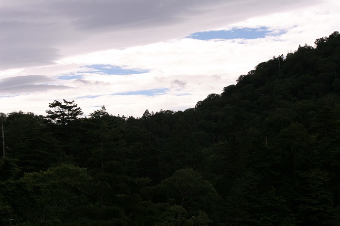燧ケ岳（標高２３５６ｍ）・御池登山口の広沢田代下のがれ場の急斜面の稜線の奥に東の空を望んで。御池登山口の最初の岩登りの背後に望む会津駒ケ岳より続く大杉岳の稜線は優美になだらかで、広沢田代下の岩登りの登山道は、春はオオカメノキの美しい純白の花々に包まれます（２０２５年７月１７日）。