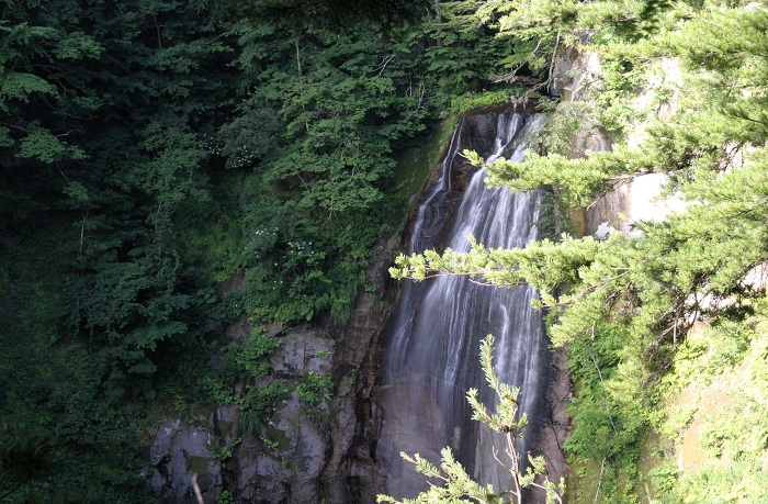 モーカケの滝は、昔からよく訪れる場所です。駒ケ岳登山道の途中にあった、龍ノ門の滝へ行けなくなっている現在、貴重な滝の光景です（２０２５年８月１日）。