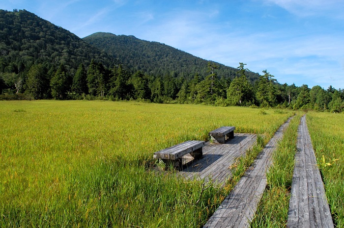 尾瀬御池登山口から尾瀬ヶ原方面を目指して歩いていく中では、左手に燧ケ岳（標高２３５６ｍ）の雄姿を望みながら歩きます（２０２５年８月１７日）。