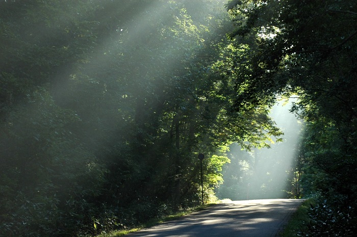 尾瀬ブナ平の、ほぼど真ん中を貫いて作られた国道３５２号線です。かけがえのない道路であり、そのブナ平からは、多くの大自然の姿が学べます（２０２５年９月１２日）。