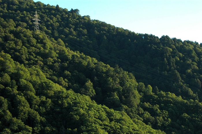 かつて、会津駒ケ岳には、七入登山口もありました。そのコースは、トレイルランニングのコースとしても最高のコースといえるものでした（会津駒ケ岳より連なる七入の尾根を望んで・２０２５年９月１２日）。