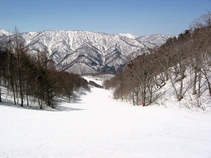 高畑スキー場オレンジコース・中斜面下部より、長い緩斜面コースを望んで。スキーの基本を繰り返し練習するのに最高のコースです（２００８年４月６日）。


