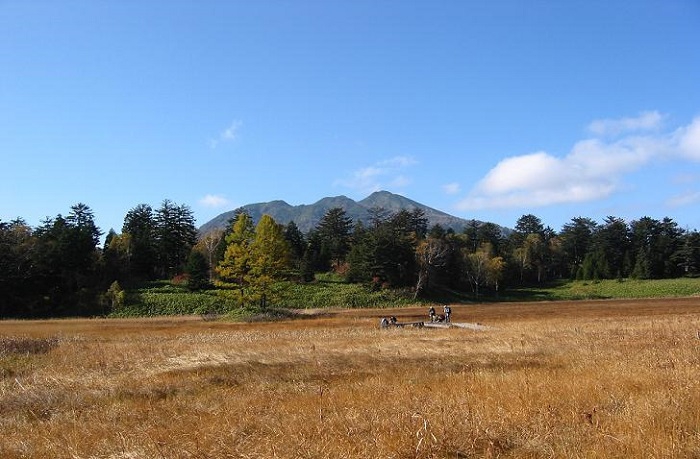澄んだ青空と鮮やかな紅葉の景観に包まれた秋の大江湿原の光景です（２００６年１０月１３日）。