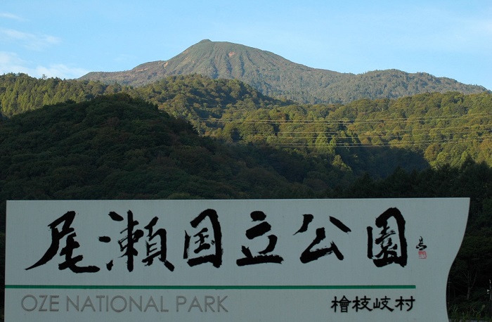 燧ケ岳（標高２３５６ｍ）やブナ平やブナ坂もようやく緑の中に紅葉の色合いがうっすらと見え始めた頃でした（２０２５年１０月３日）。