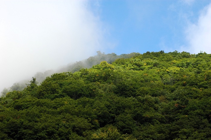 この頃は、まだ山々は緑の光景が続いておりました（２０２５年１０月１日）。