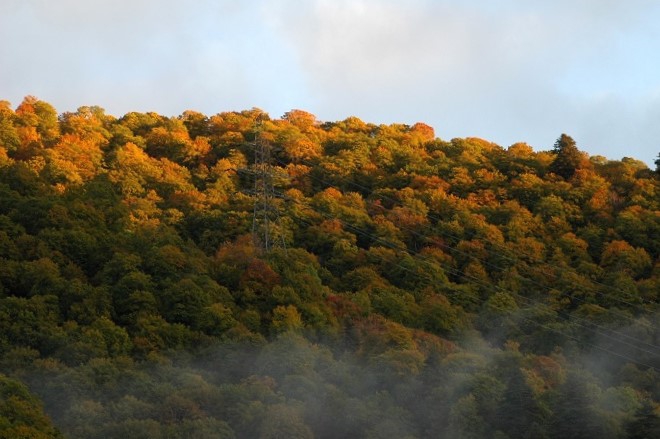 この日の朝、息をのむような、全山紅葉の始まりを迎えた山々の光景が見られました(2025年10月15日)。