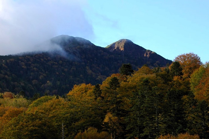 小沢平に作業に行く途中で撮影した秋の燧ケ岳(標高2356m)と、紅葉の最盛期を迎えたダケカンバとブナの木の原生林の光景です(2025年10月15日)。