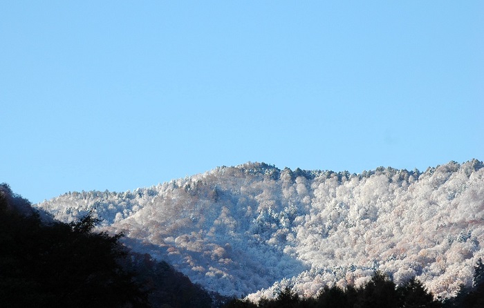 檜枝岐村・キリンテ地区より尾瀬の方角の雪景色をを望んで(2025年11月4日・7時18分)。