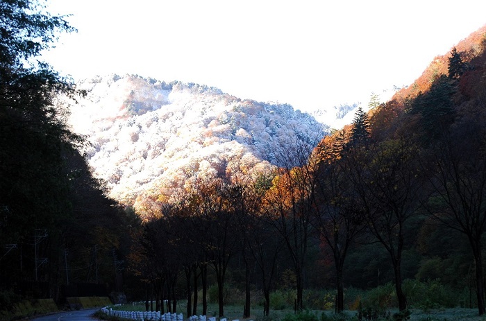 檜枝岐村ヨナゴ地区より紅葉の奥に白銀の雪景色に染まる尾瀬国立公園の景観を望んで(2025年11月4日・7時23分)。