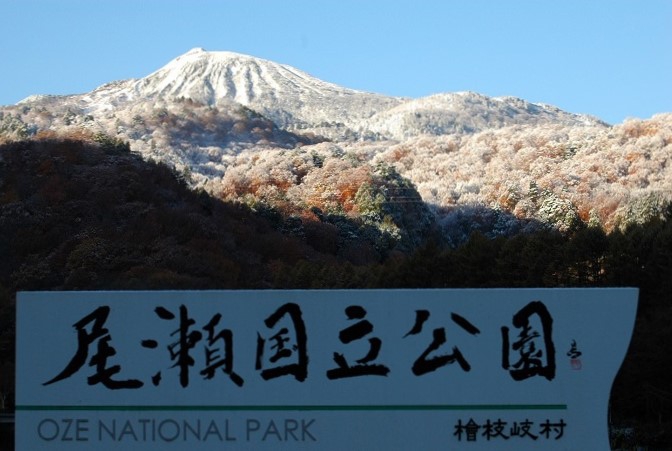 まさにこれから晩秋の紅葉が最盛期を迎えるであろうと思っていたブナ坂の紅葉も、多くの雪景色に染まってしまうとは、予想もしなかった景観でした(2025年11月4日・7時25分)。