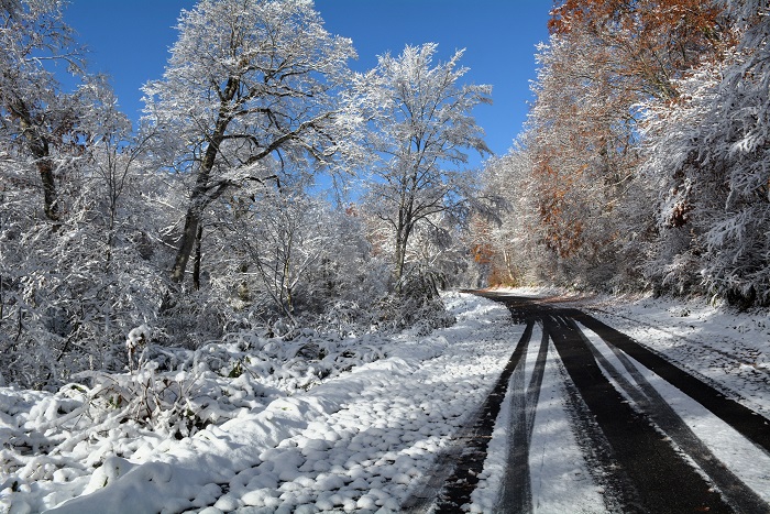 この日の朝、これから、ブナ平を抜け、小沢平ブナ樹海ラインを通り、小沢平での山小屋の冬囲いと、今年最後の草刈り作業に向かう中で。この先の雪と道路と紅葉の状況は・・・(2025年11月4日・8時16分)。