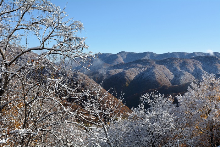 これから、後約1か月ほどで、多くの豪雪の季節を迎える、檜枝岐村の山々を望んで(2025年11月4日・8時11分)。
