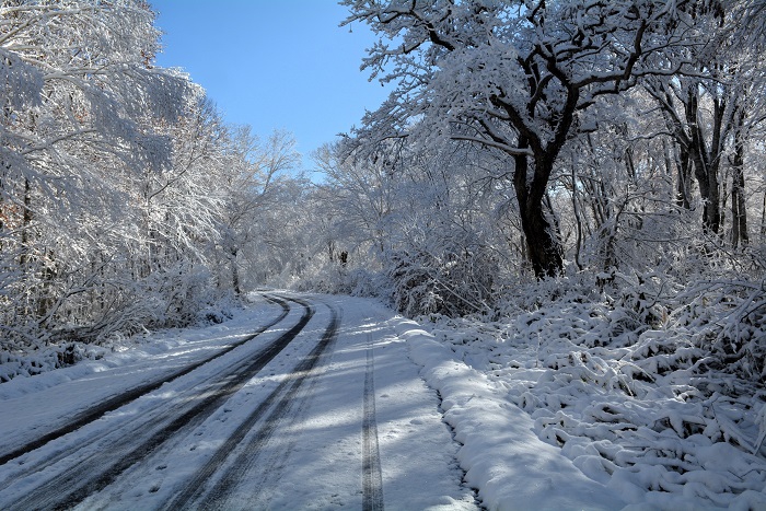 春の新緑から秋の紅葉そして落葉の姿、晩秋の雪景色へと様々な大自然の美しい景観を見せてくれた尾瀬国立公園に心より感謝の朝でした(2025年11月4日・8時23分)。