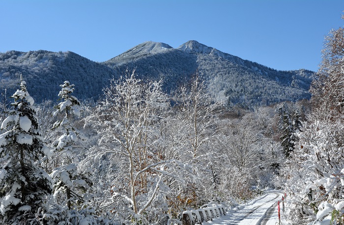 小沢平ブナ樹海ラインより望む雪景色に染まる燧ケ岳の光景です。(2025年11月4日・8時39分)。