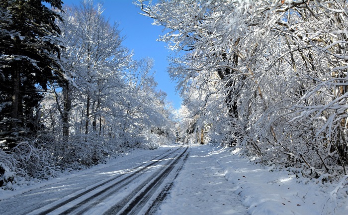 まだモミジも残っていた尾瀬ブナ平も、木の葉ほとんど落葉と雪景色に染まる、秋の終わりを告げる光景でした(2025年11月4日・8時25分)。