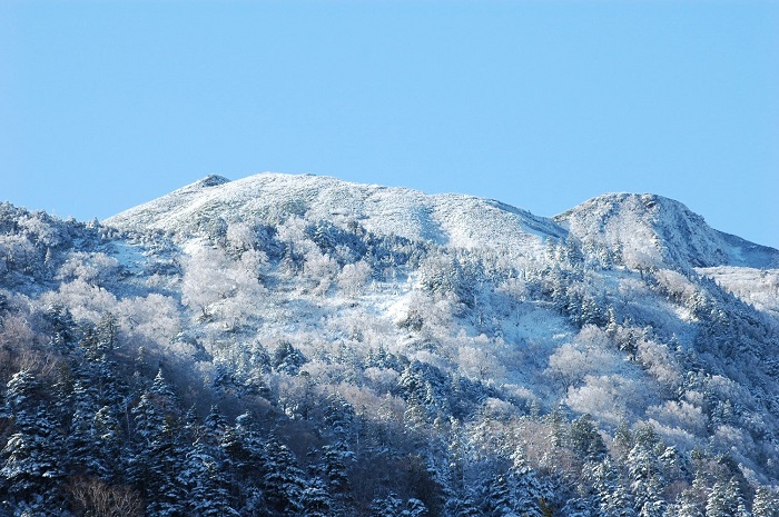 尾瀬御池登山口から望む、燧ケ岳(標高2356m)の白銀の光景です(2025年11月4日・8時31分)。