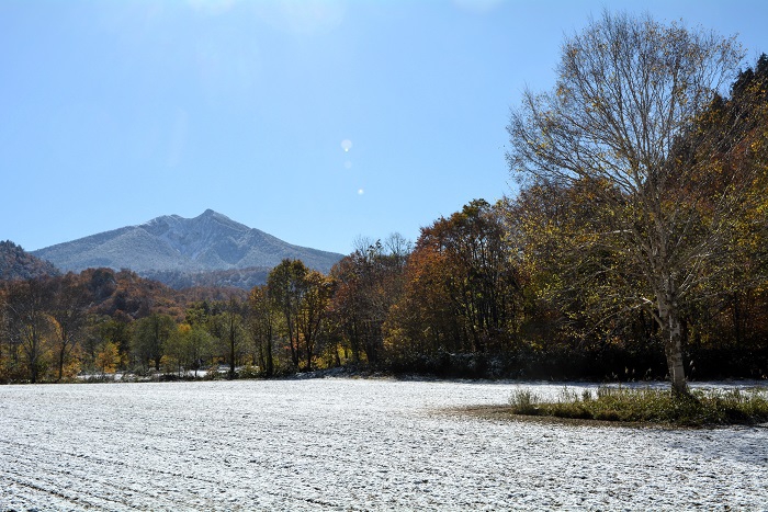 檜枝岐小学校・旧大杉分校跡地の前から、檜枝岐村の蕎麦畑の奥に、東北以北の最高峰・尾瀬のシンボル「燧ケ岳」(標高2356m)の晩秋の姿を望んで。ここから見る燧ケ岳の姿が一番好きです(11月4日10時2分)。