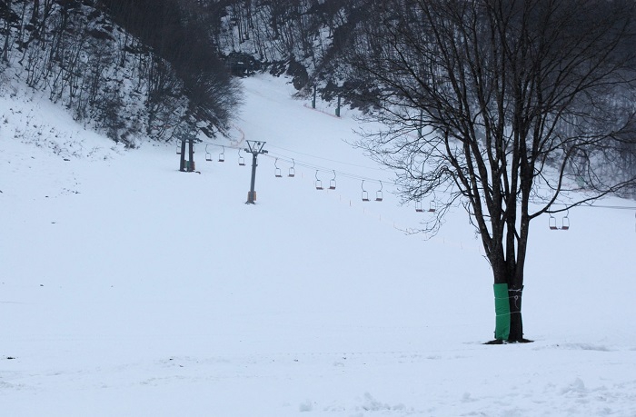 雪の少ないシーズンインとなったスキーシーズン。幼少の頃から思い出いっぱいの檜枝岐スキー場も、フリー滑走のみでも滑ることができているようで、一安心でした（２０２５年１２月２５日）。