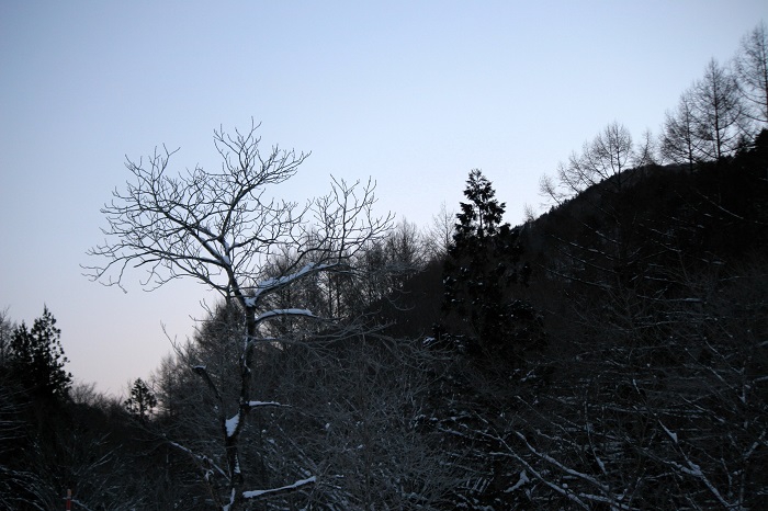 今年の冬は大雪の昨年とはまた違って、小雪の冬が続いております（２０２６年１月７日）。

