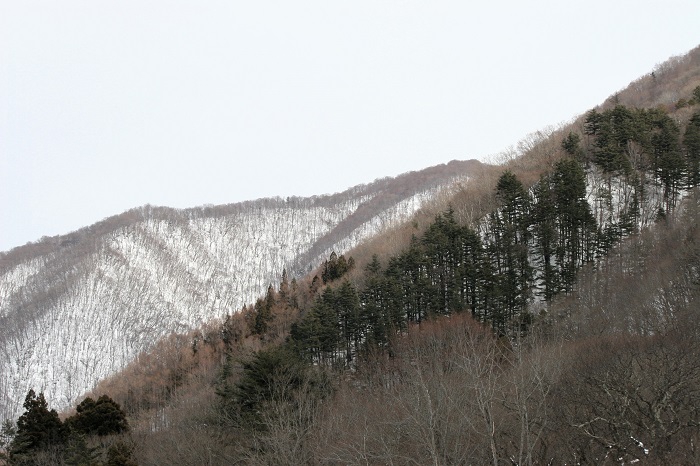 尾瀬野より、日の出始まる東の方角を望んで（２０２６年１月１３日）。