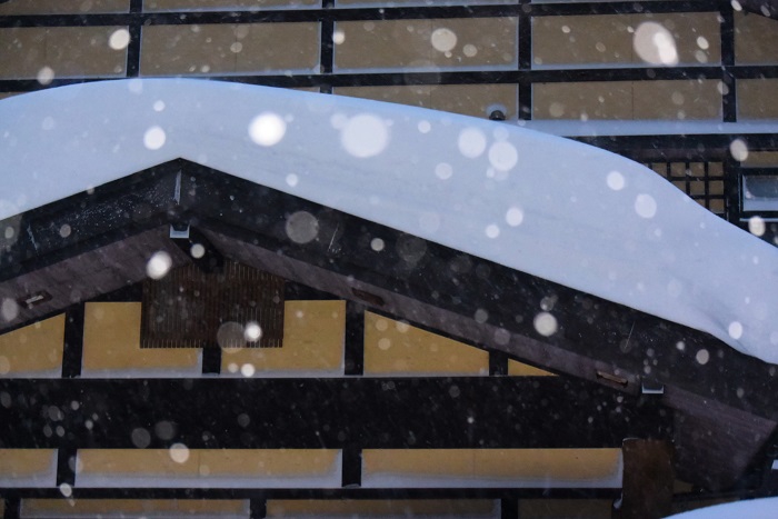 今年の冬は比較的穏やかで、尾瀬野の玄関の雪の量も、少なめでした（２０２６年１月２６日）。