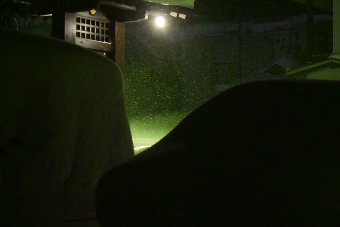 早朝、除雪作業に入る前に看板の光を見つめて（２０２６年１月２６日）。