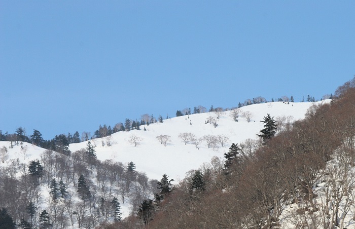 春の日差しが見え始めた３月中旬。会津駒ケ岳（標高２１３２．４ｍ）の白銀の雪景色の尾根を望んで（２０２６年３月１８日）。