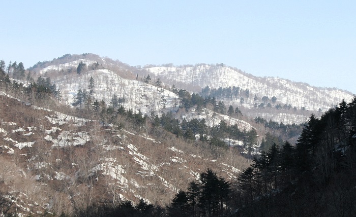 特別豪雪地帯の山々にもようやく春の日差しが見え始めた、３月中旬。光り輝く残雪の雪景色に包まれた、春の光景を望むことができる最高の季節の始まりでもあります（２０２６年３月１８日）。