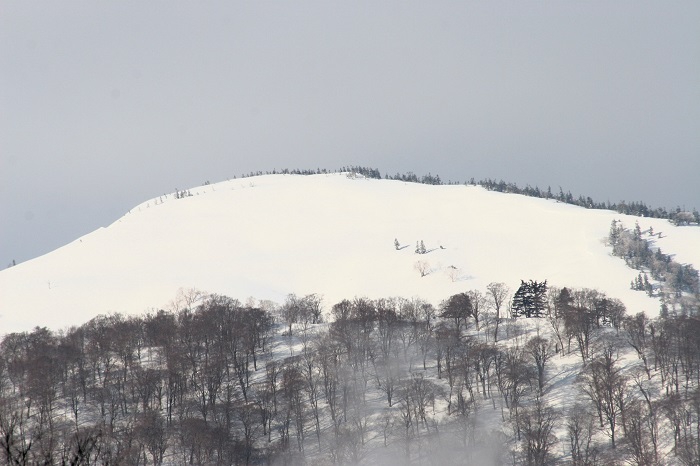 残雪の輝きに染まる、会津駒ケ岳（標高２１３２．４ｍ）より連なる、大戸沢岳（標高２０８９ｍ）の春の光景です（２０２６年３月１９日）。
