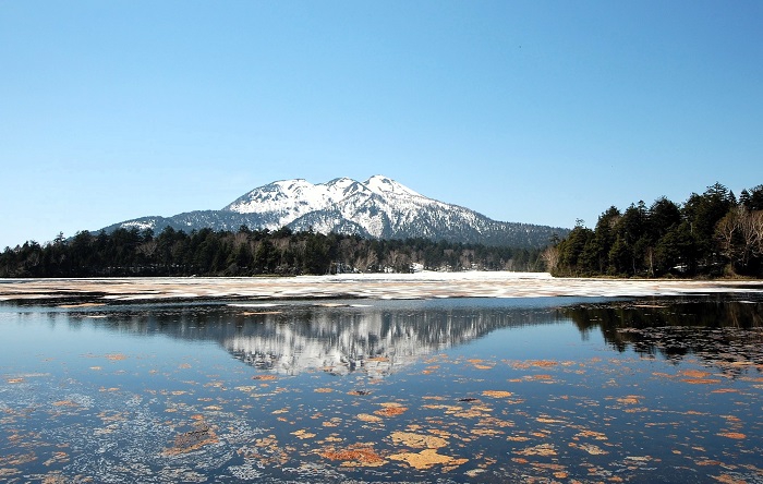 長い長い厳冬の冬から待望の雪解けの季節を迎え始めた、清らかな大自然と可憐な花々の宝庫・特別保護地区、尾瀬沼の光景です（２０１７年５月２１日）。