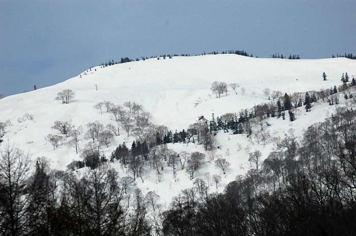 春山登山でも人気の、会津駒ケ岳・大戸沢岳(標高2089m)の残雪残る春山の光景です(2026年4月15日)。