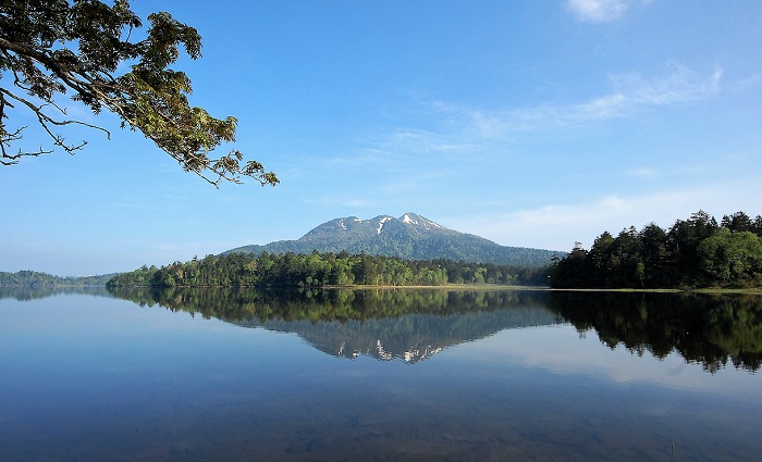 尾瀬沼と湿原の奥に東北以北の最高峰・燧ケ岳(標高2356m)を望んで(2017年6月23日の画像です)。