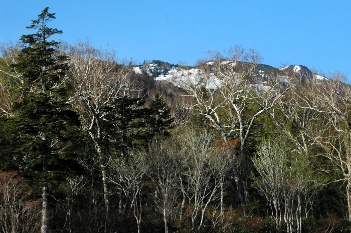 尾瀬御池登山口より東北以北の最高峰・燧ケ岳(標高2356m)の残雪の光景を望んで(2026年5月20日)。