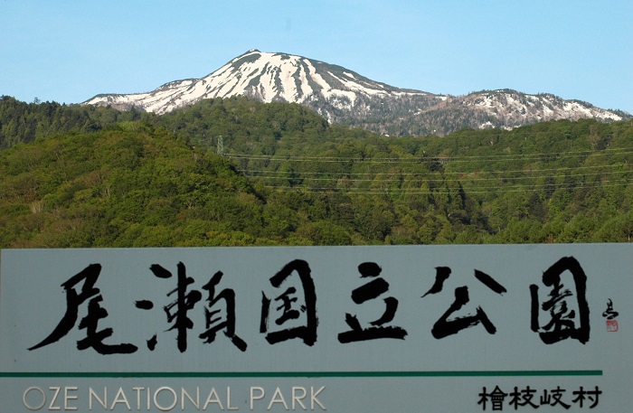 2007年に日光国立公園から独立して、会津駒ケ岳や田代・帝釈山を含めて尾瀬国立公園として指定されてから19年。来年で20年になりますね(2026年5月20日)。